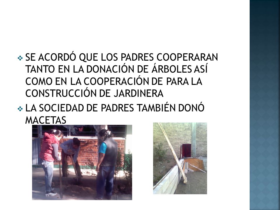 SE ACORDÓ QUE LOS PADRES COOPERARAN TANTO EN LA DONACIÓN DE ÁRBOLES ASÍ COMO EN LA COOPERACIÓN DE PARA LA CONSTRUCCIÓN DE JARDINERA