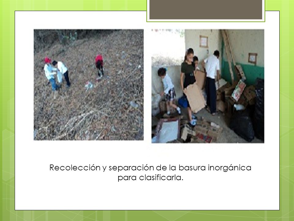 Recolección y separación de la basura inorgánica para clasificarla.