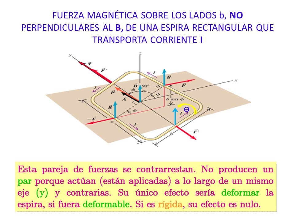 FUERZA MAGNÉTICA SOBRE LOS LADOS b, NO PERPENDICULARES AL B, DE UNA ESPIRA RECTANGULAR QUE TRANSPORTA CORRIENTE I