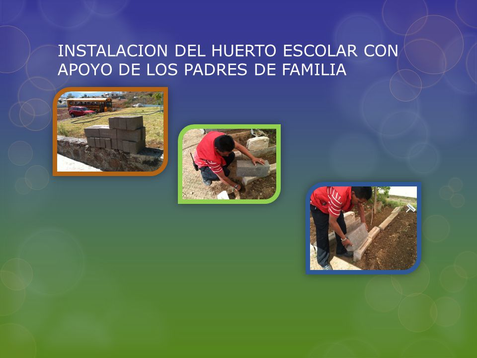 INSTALACION DEL HUERTO ESCOLAR CON APOYO DE LOS PADRES DE FAMILIA