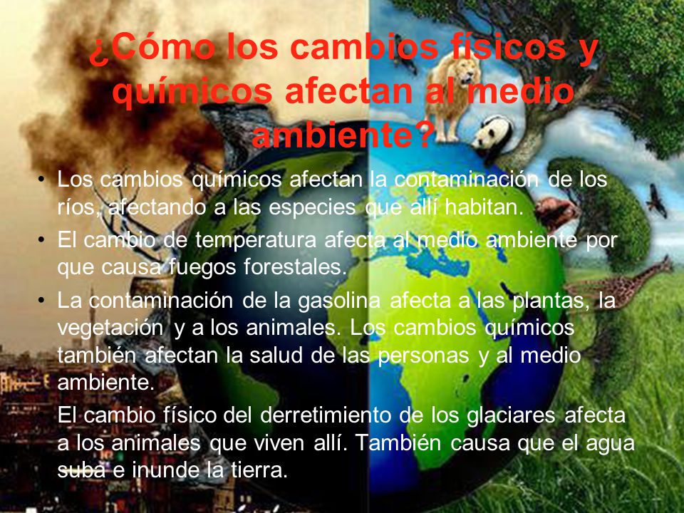 ¿Cómo los cambios físicos y químicos afectan al medio ambiente