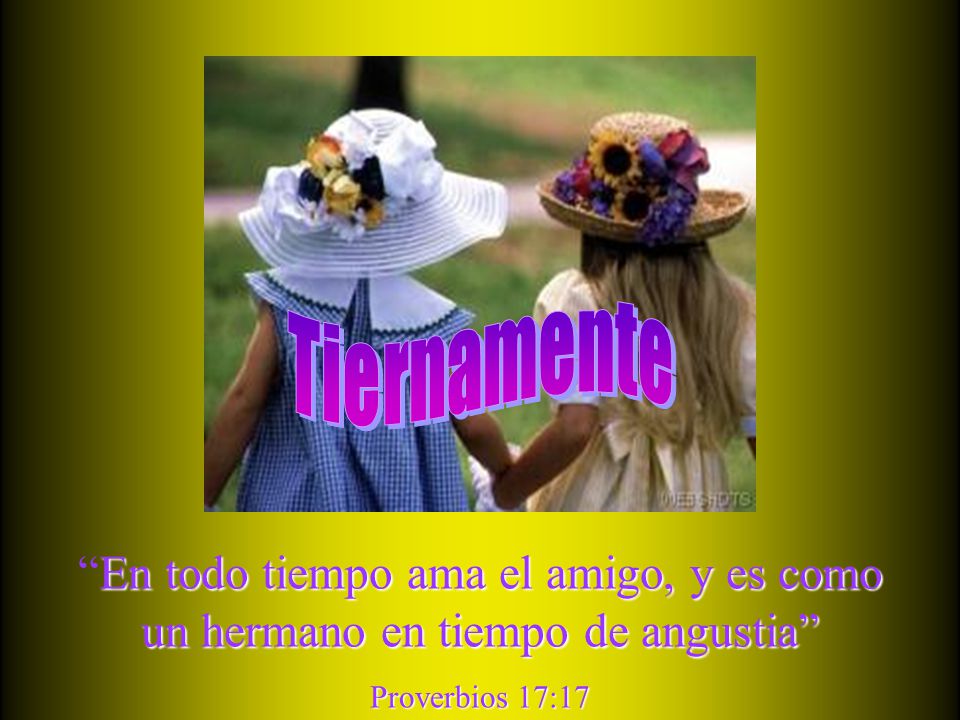 Tiernamente En todo tiempo ama el amigo, y es como un hermano en tiempo de angustia Proverbios 17:17.