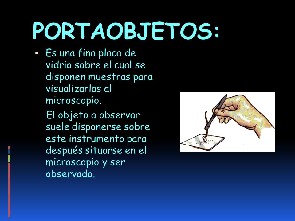 PORTAOBJETOS: Es una fina placa de vidrio sobre el cual se disponen muestras para visualizarlas al microscopio.