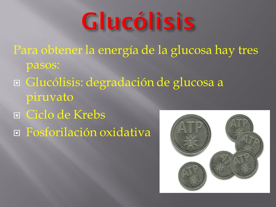Glucólisis Para obtener la energía de la glucosa hay tres pasos: