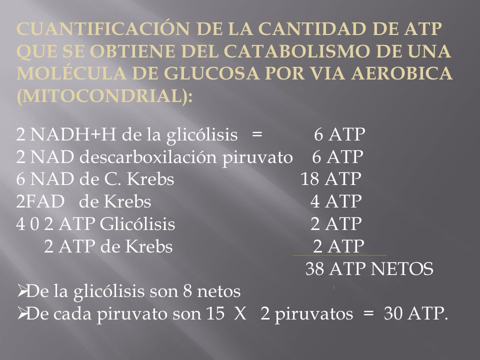 CUANTIFICACIÓN DE LA CANTIDAD DE ATP QUE SE OBTIENE DEL CATABOLISMO DE UNA MOLÉCULA DE GLUCOSA POR VIA AEROBICA (MITOCONDRIAL):