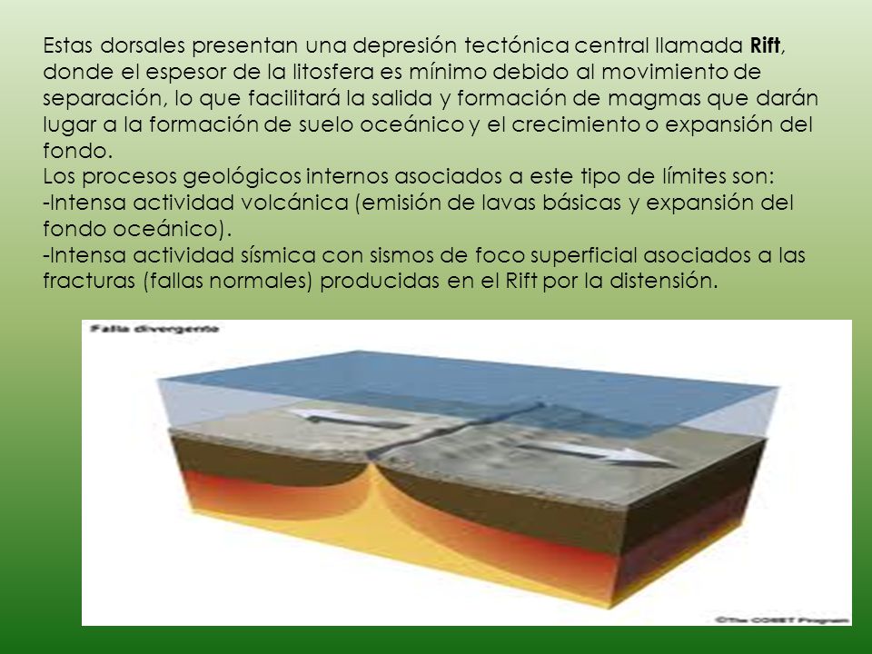 Estas dorsales presentan una depresión tectónica central llamada Rift, donde el espesor de la litosfera es mínimo debido al movimiento de separación, lo que facilitará la salida y formación de magmas que darán lugar a la formación de suelo oceánico y el crecimiento o expansión del fondo.