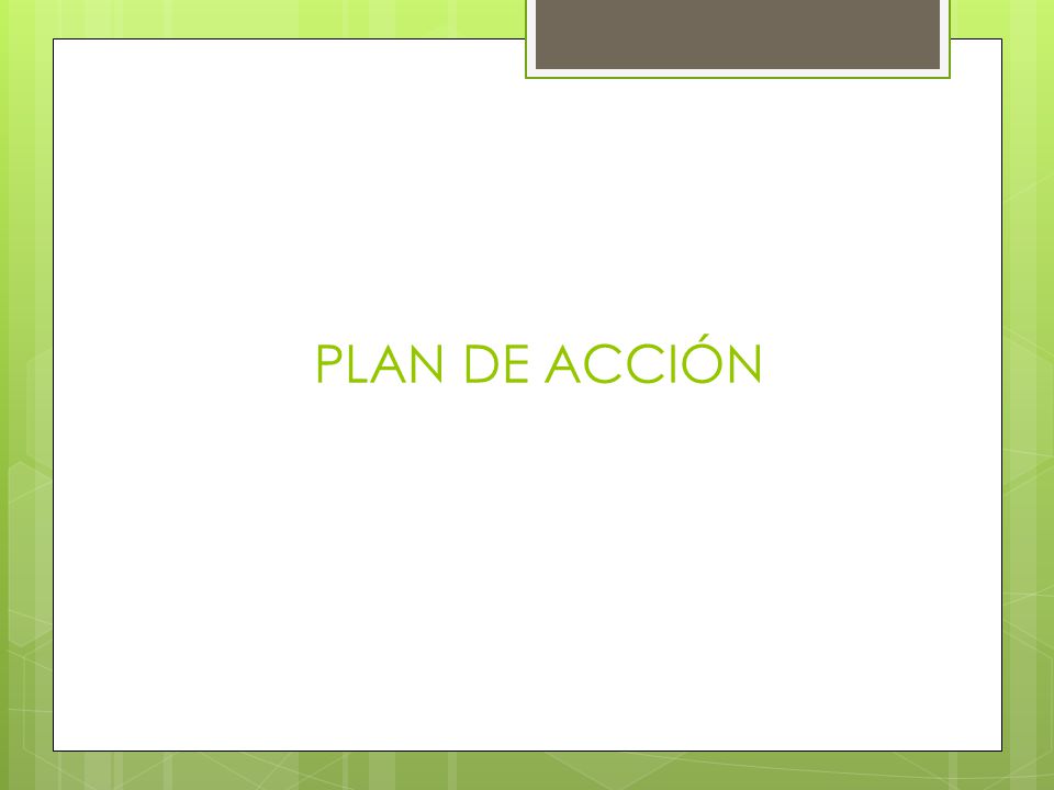 PLAN DE ACCIÓN