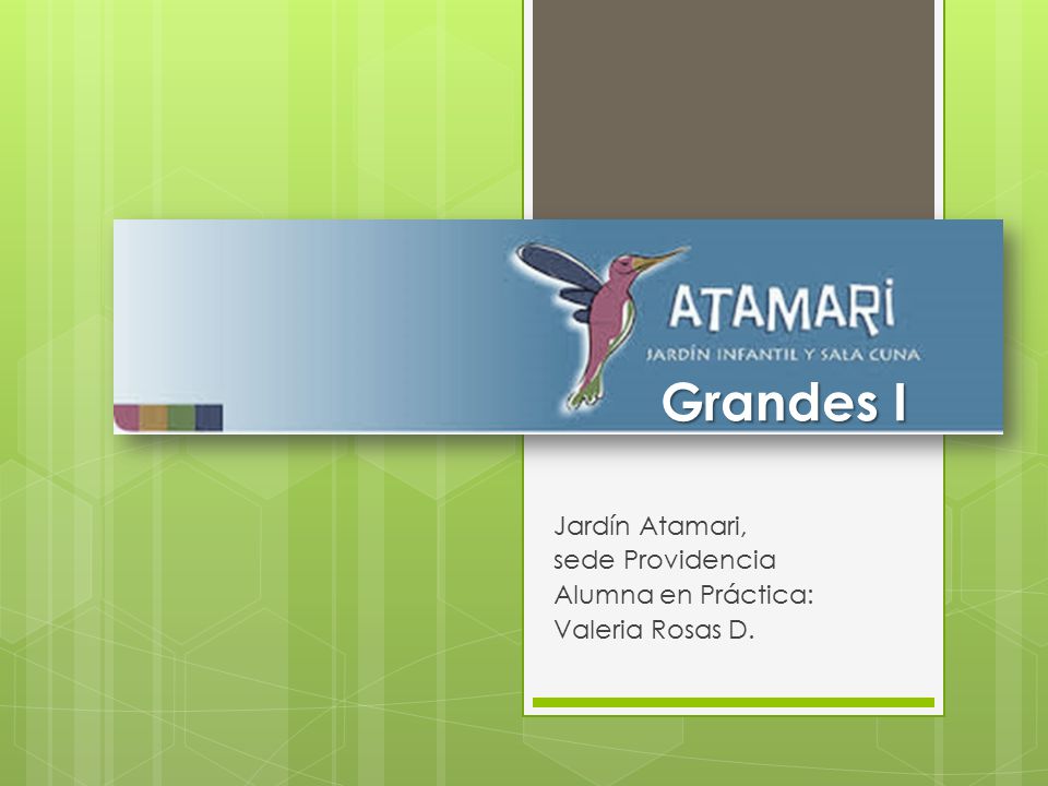 Jardín Atamari, sede Providencia Alumna en Práctica: Valeria Rosas D.