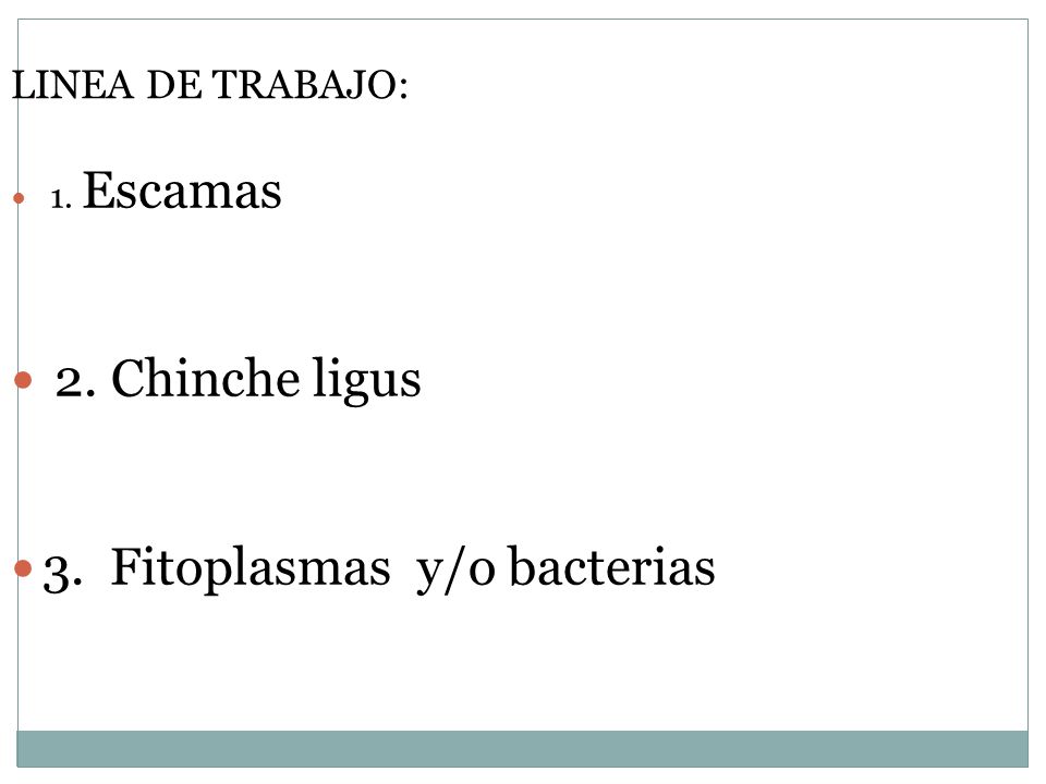 3. Fitoplasmas y/o bacterias