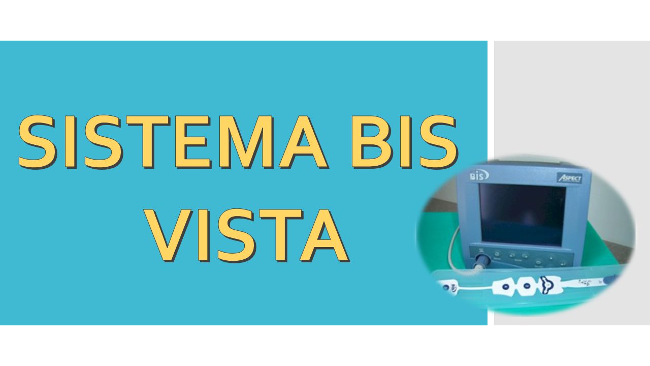 SISTEMA BIS VISTA