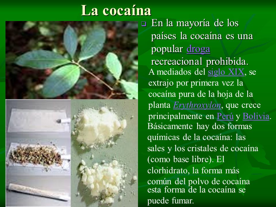 La cocaína En la mayoría de los países la cocaína es una popular droga recreacional prohibida.