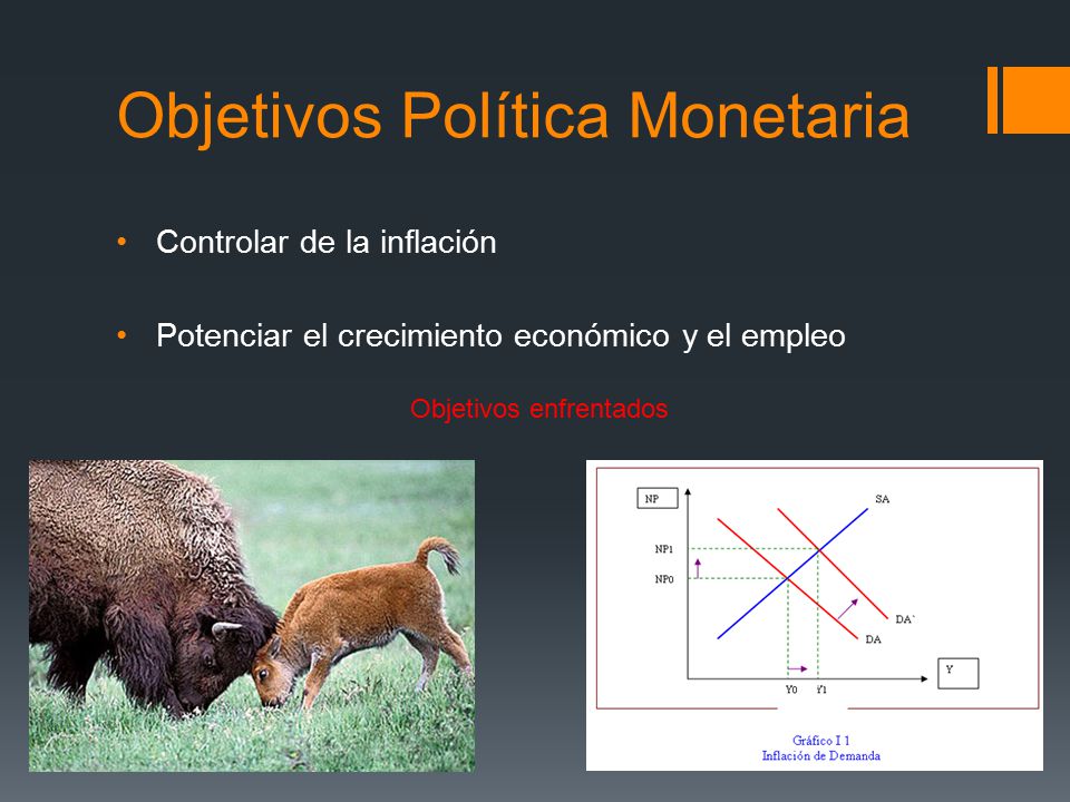 Objetivos Política Monetaria