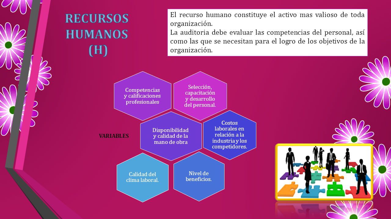 RECURSOS HUMANOS (H) El recurso humano constituye el activo mas valioso de toda organización.