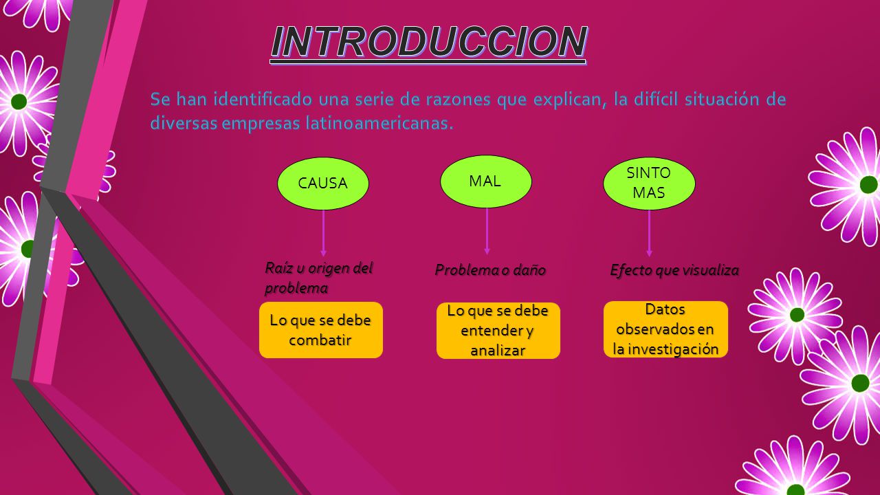 INTRODUCCION Se han identificado una serie de razones que explican, la difícil situación de diversas empresas latinoamericanas.