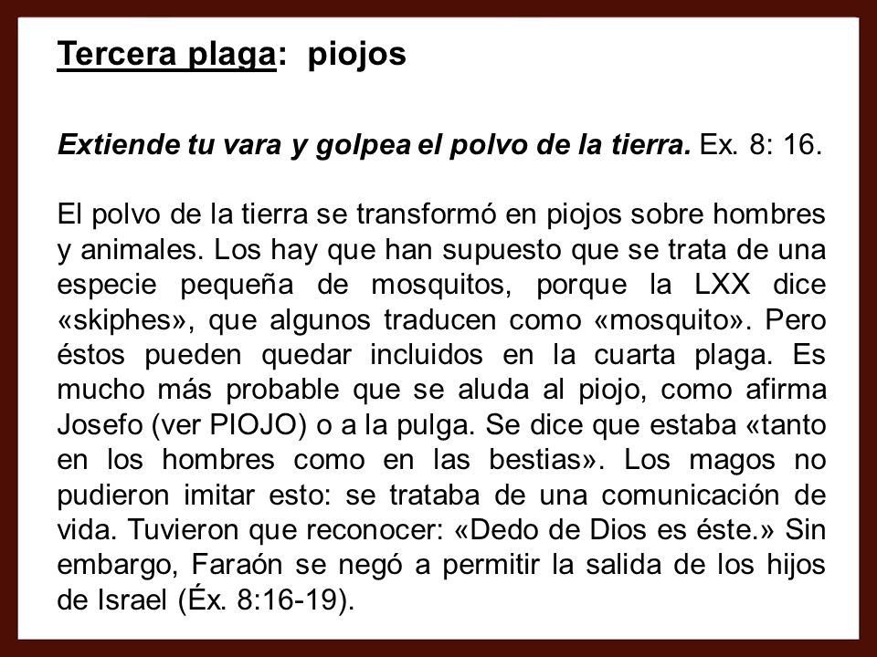 Tercera plaga: piojos Extiende tu vara y golpea el polvo de la tierra. Ex. 8: 16.