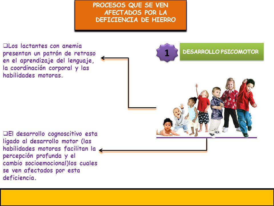 PROCESOS QUE SE VEN AFECTADOS POR LA DEFICIENCIA DE HIERRO