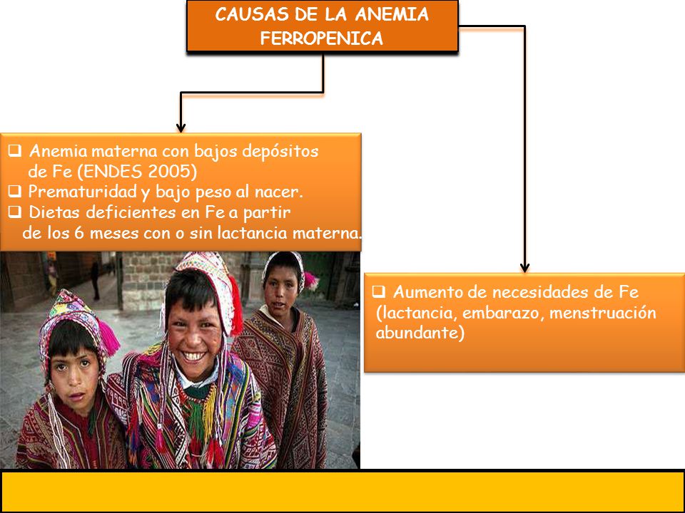 CAUSAS DE LA ANEMIA FERROPENICA. Anemia materna con bajos depósitos. de Fe (ENDES 2005) Prematuridad y bajo peso al nacer.