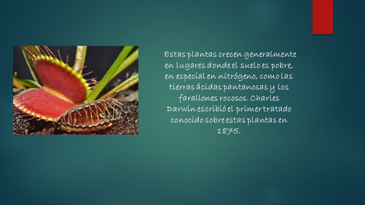 Estas plantas crecen generalmente en lugares donde el suelo es pobre, en especial en nitrógeno, como las tierras ácidas pantanosas y los farallones rocosos. Charles Darwin escribió el primer tratado conocido sobre estas plantas en 1875.