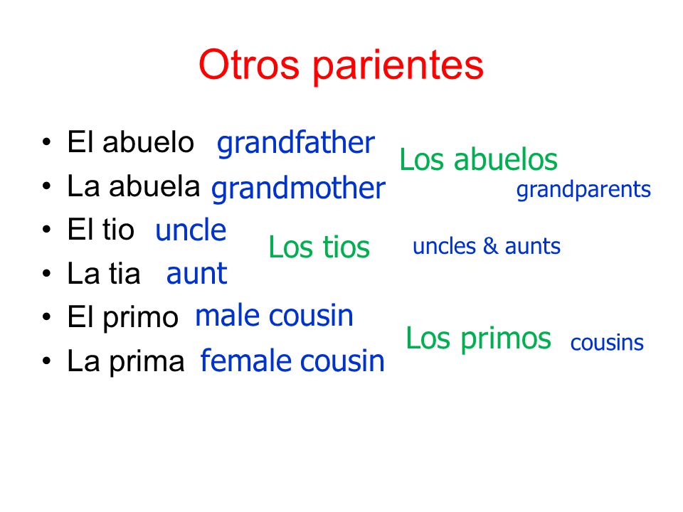 Otros parientes El abuelo La abuela El tio La tia El primo La prima