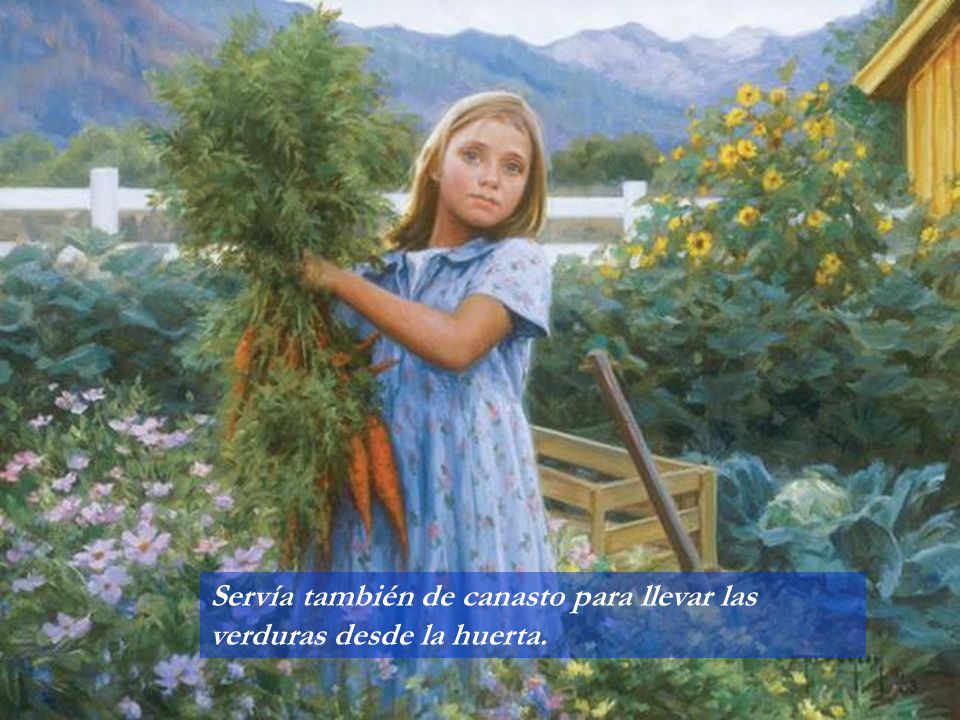 Servía también de canasto para llevar las verduras desde la huerta.