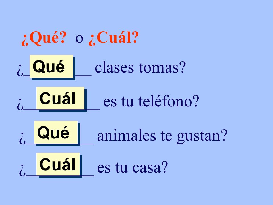 ¿Qué o ¿Cuál ¿________ clases tomas Qué. Cuál. ¿_________ es tu teléfono Qué. ¿________ animales te gustan
