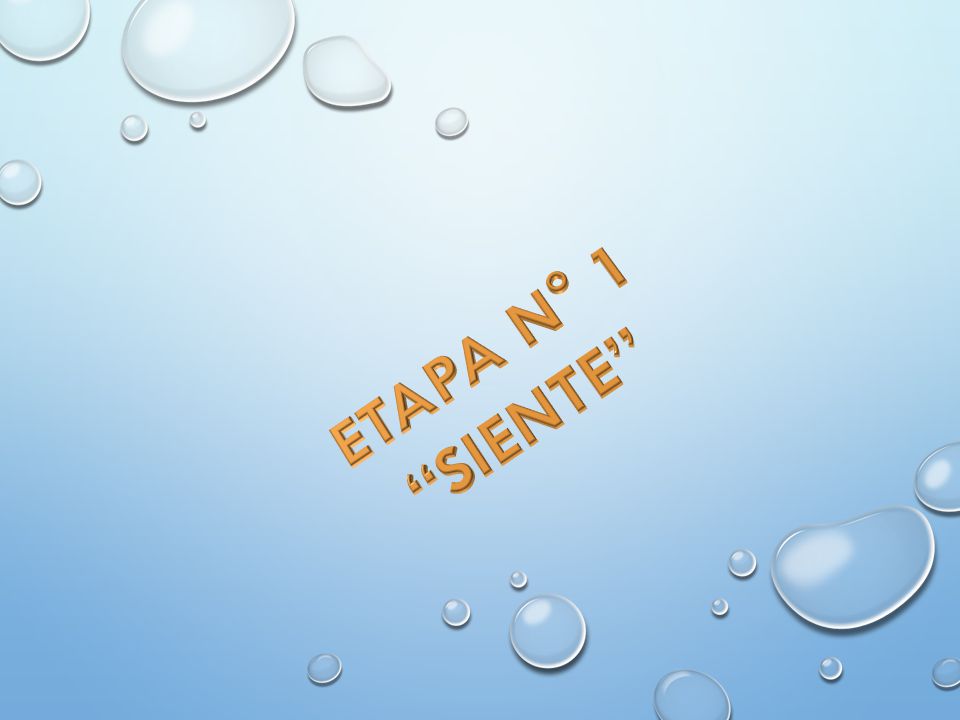 ETAPA N° 1 SIENTE