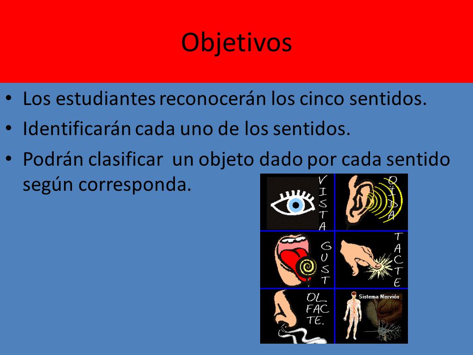 Objetivos Los estudiantes reconocerán los cinco sentidos.