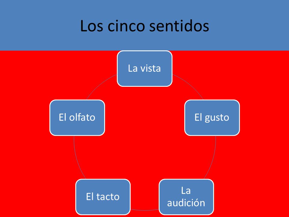Los cinco sentidos La vista El gusto La audición El tacto El olfato