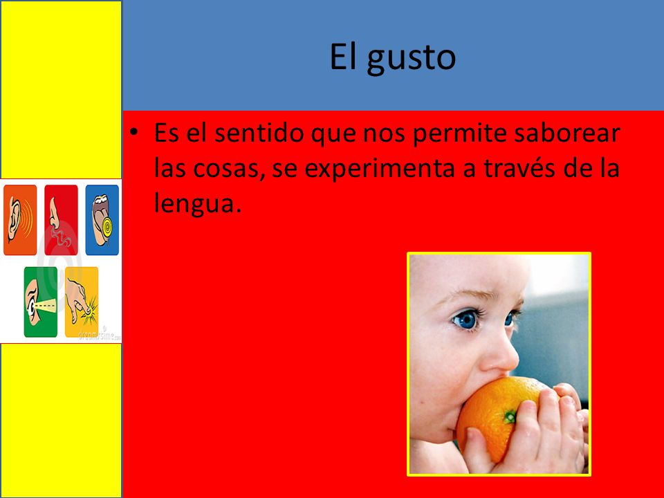 El gusto Es el sentido que nos permite saborear las cosas, se experimenta a través de la lengua.