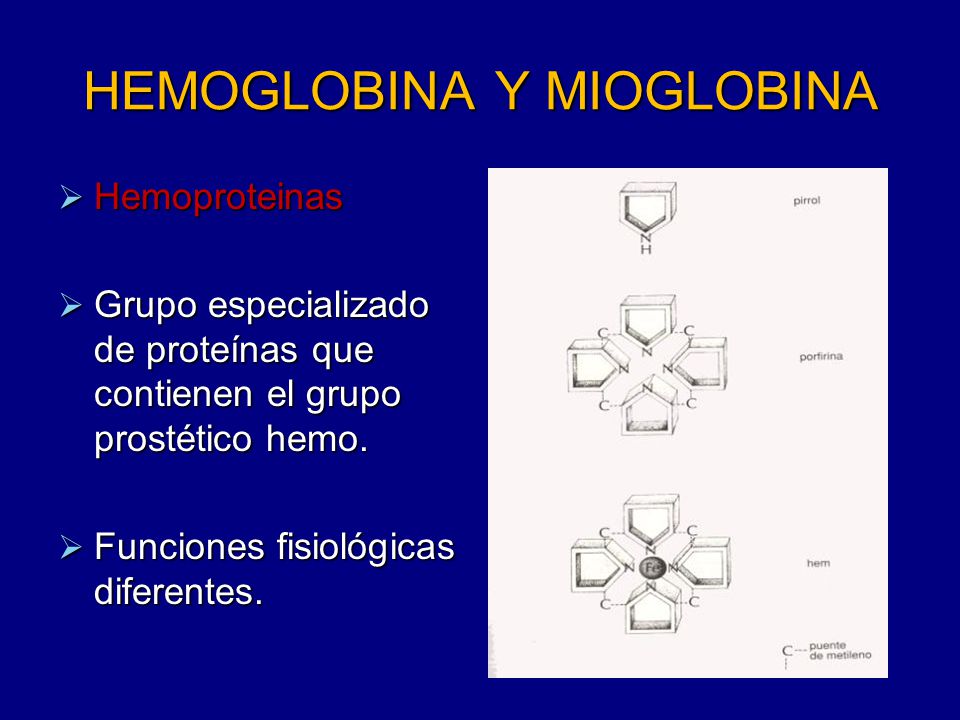 HEMOGLOBINA Y MIOGLOBINA