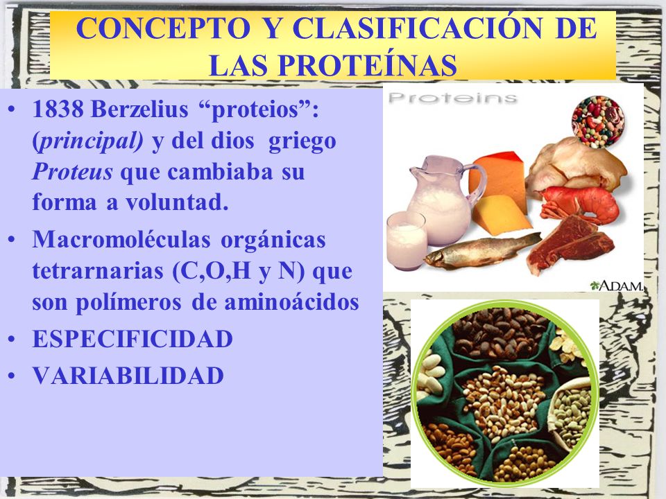 CONCEPTO Y CLASIFICACIÓN DE LAS PROTEÍNAS