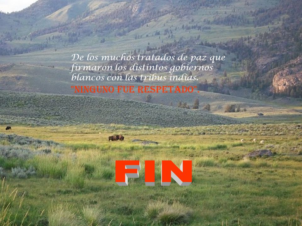 De los muchos tratados de paz que firmaron los distintos gobiernos blancos con las tribus indias. NINGUNO FUE RESPETADO .