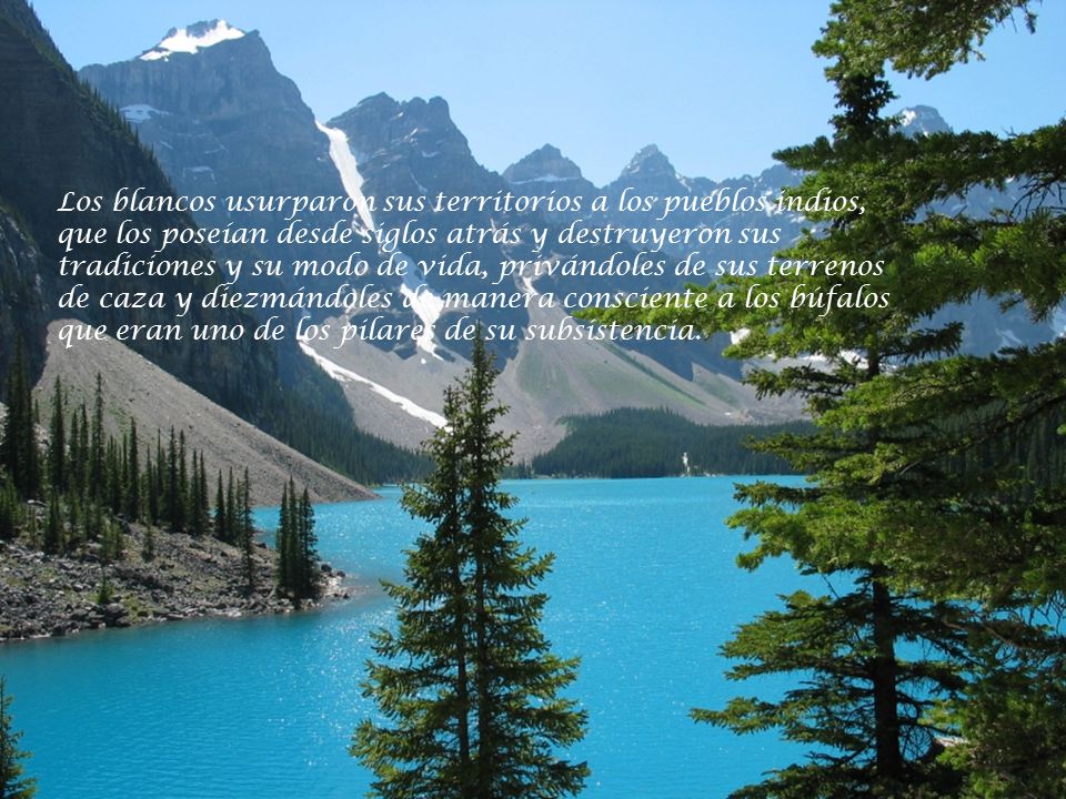 Los blancos usurparon sus territorios a los pueblos indios, que los poseían desde siglos atrás y destruyeron sus tradiciones y su modo de vida, privándoles de sus terrenos de caza y diezmándoles de manera consciente a los búfalos que eran uno de los pilares de su subsistencia.