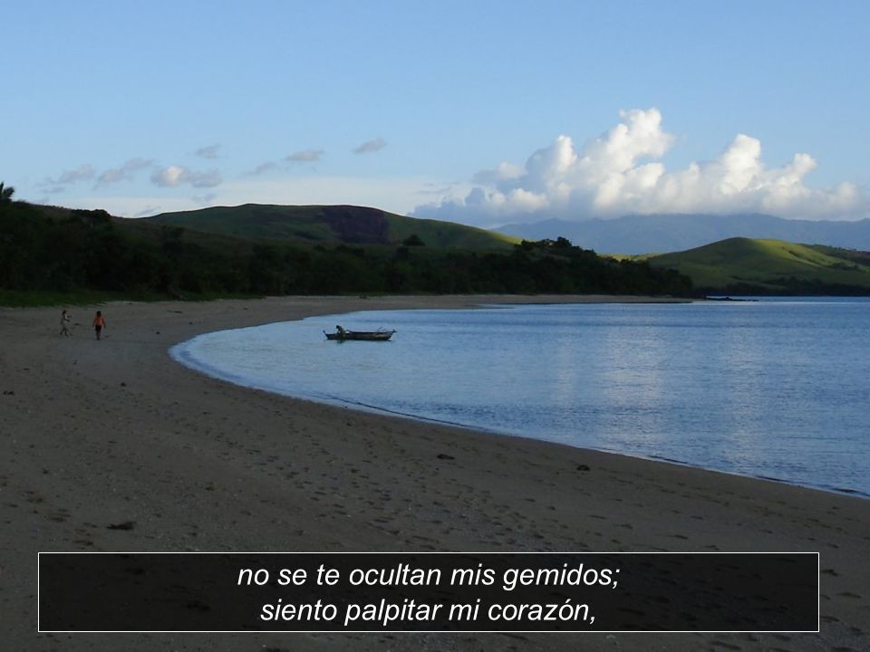 no se te ocultan mis gemidos; siento palpitar mi corazón,