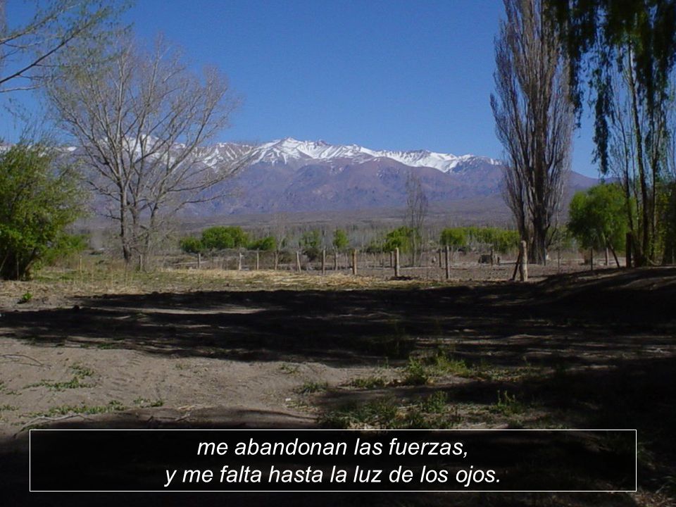 me abandonan las fuerzas, y me falta hasta la luz de los ojos.