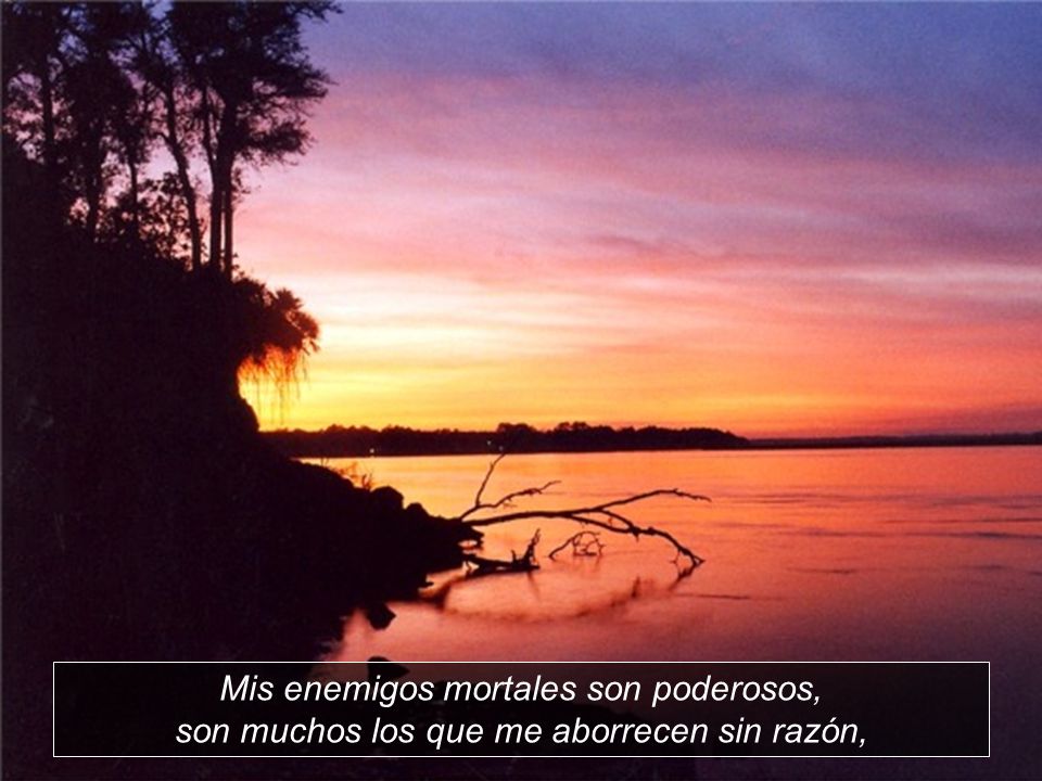 Mis enemigos mortales son poderosos, son muchos los que me aborrecen sin razón,