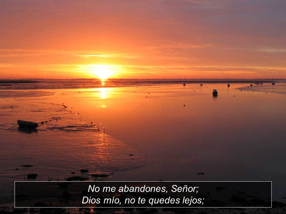 No me abandones, Señor; Dios mío, no te quedes lejos;