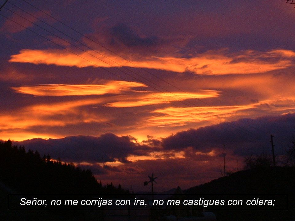 Señor, no me corrijas con ira, no me castigues con cólera;