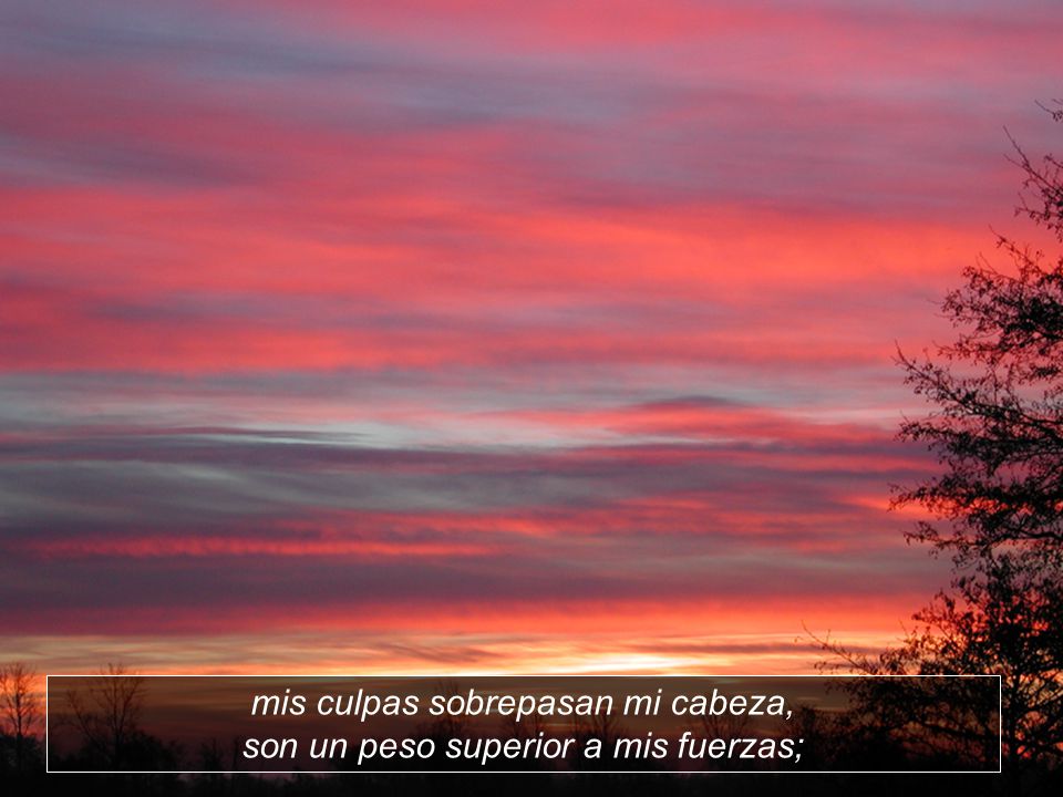 mis culpas sobrepasan mi cabeza, son un peso superior a mis fuerzas;