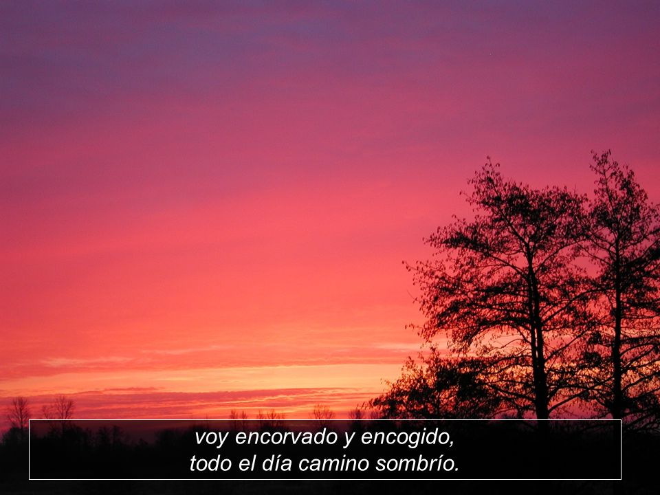 voy encorvado y encogido, todo el día camino sombrío.