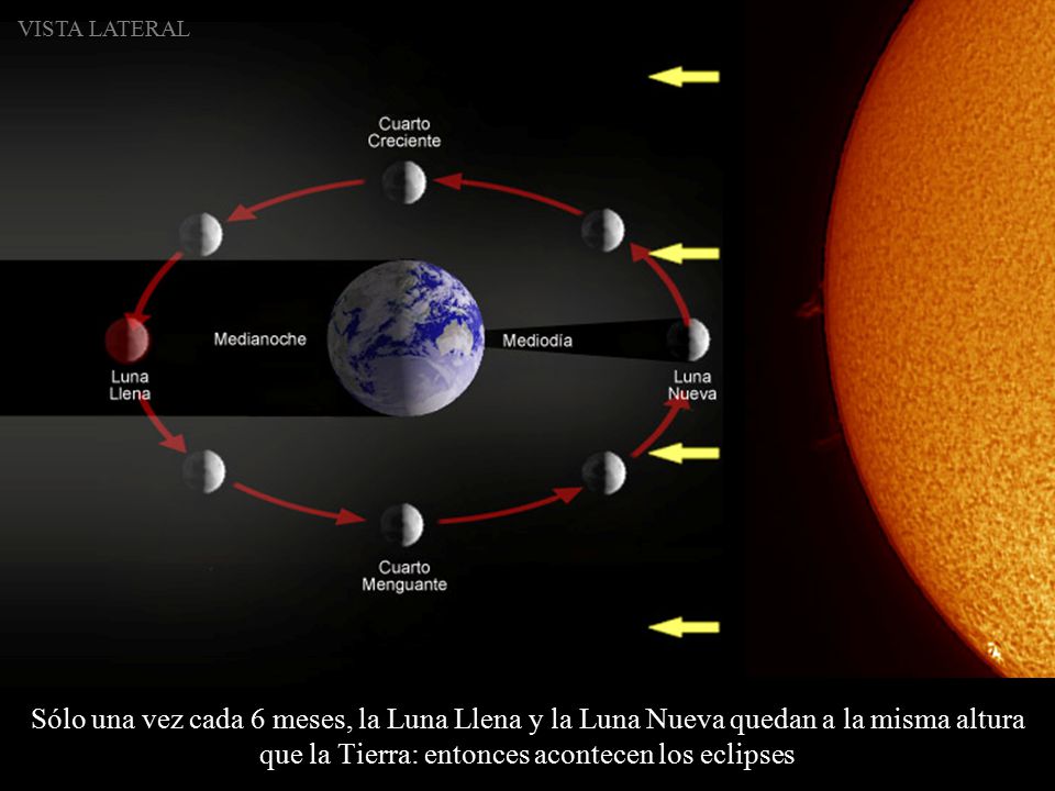 VISTA LATERAL Sólo una vez cada 6 meses, la Luna Llena y la Luna Nueva quedan a la misma altura que la Tierra: entonces acontecen los eclipses.