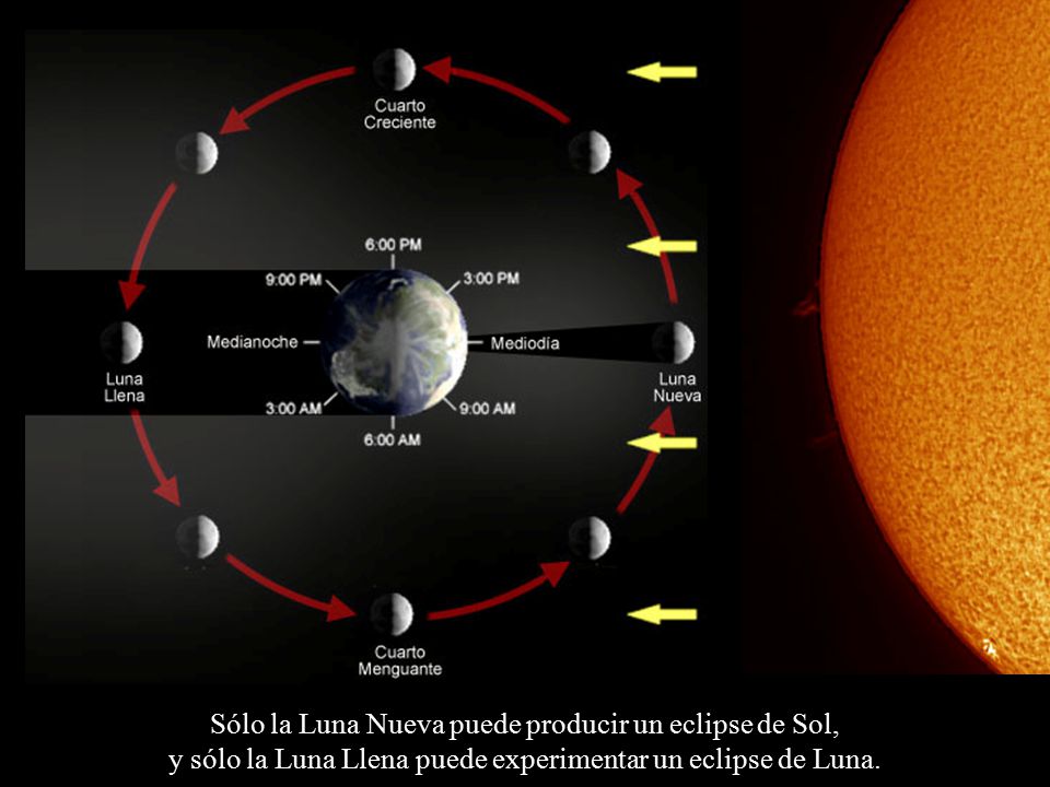 Sólo la Luna Nueva puede producir un eclipse de Sol, y sólo la Luna Llena puede experimentar un eclipse de Luna.