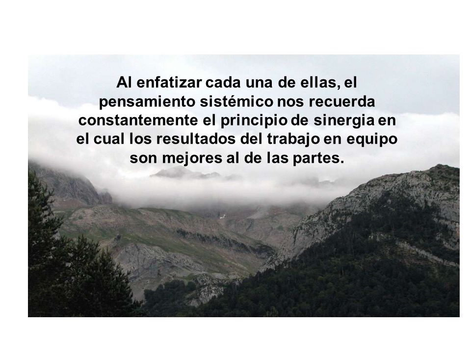 Al enfatizar cada una de ellas, el pensamiento sistémico nos recuerda constantemente el principio de sinergia en el cual los resultados del trabajo en equipo son mejores al de las partes.