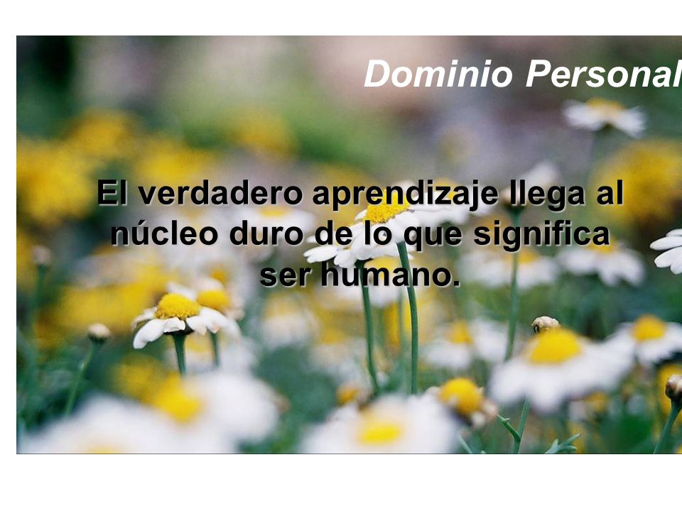 Dominio Personal: El verdadero aprendizaje llega al núcleo duro de lo que significa ser humano.