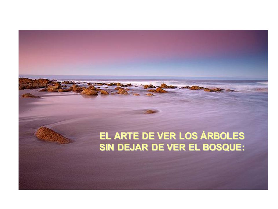 EL ARTE DE VER LOS ÁRBOLES SIN DEJAR DE VER EL BOSQUE: