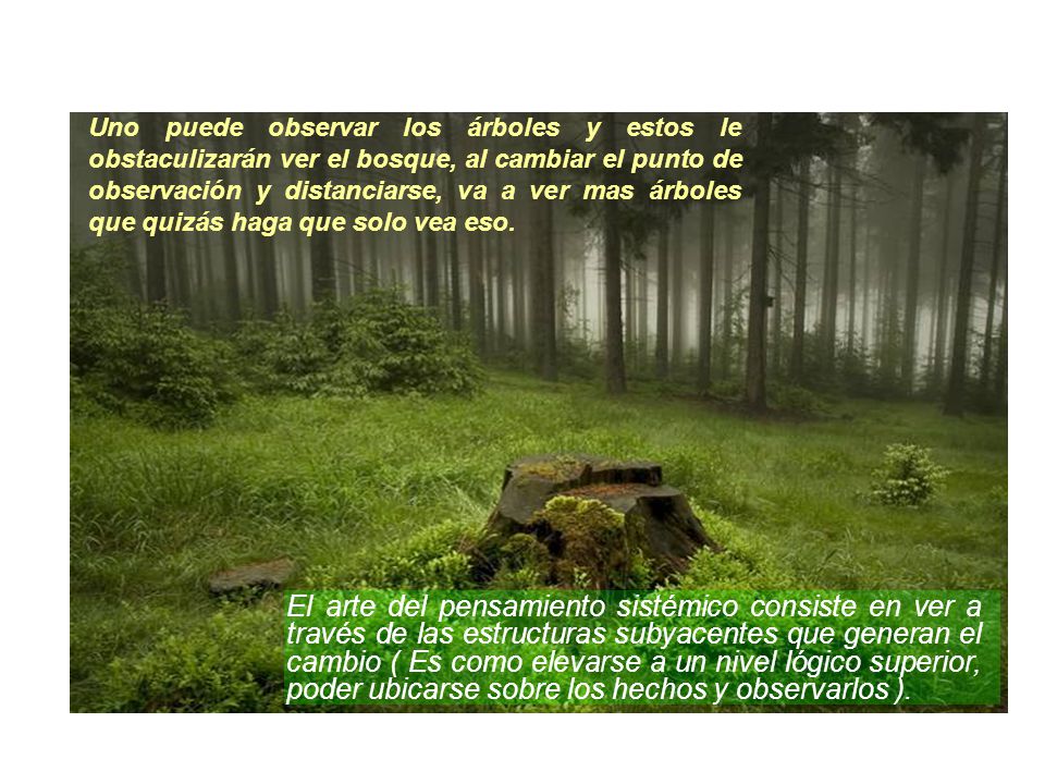 Uno puede observar los árboles y estos le obstaculizarán ver el bosque, al cambiar el punto de observación y distanciarse, va a ver mas árboles que quizás haga que solo vea eso.