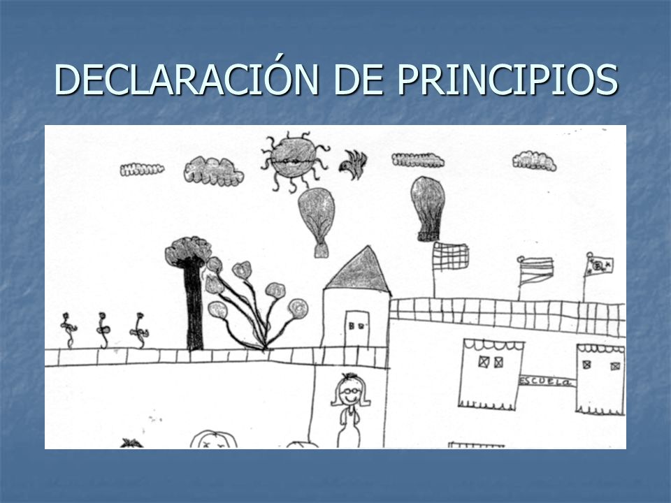 DECLARACIÓN DE PRINCIPIOS