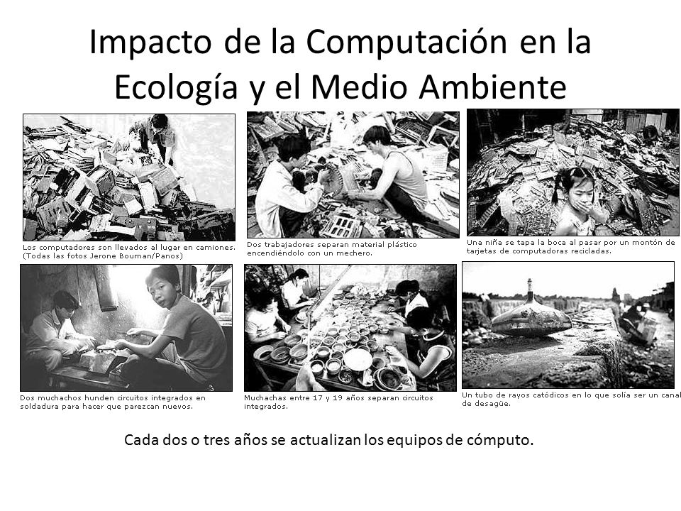 Impacto de la Computación en la Ecología y el Medio Ambiente