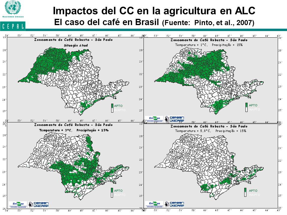 Impactos del CC en la agricultura en ALC El caso del café en Brasil (Fuente: Pinto, et al., 2007)