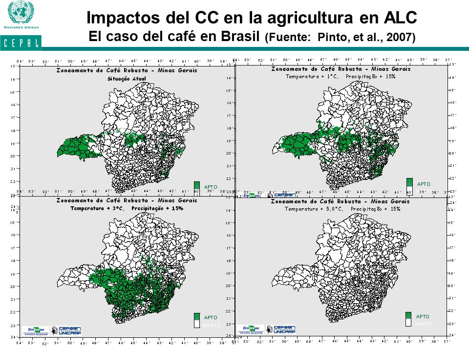Impactos del CC en la agricultura en ALC El caso del café en Brasil (Fuente: Pinto, et al., 2007)